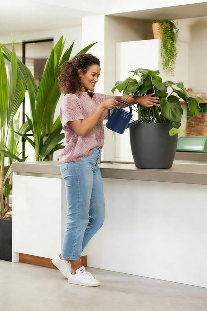 0.5 Gallon Watering Can for Indoor & Outdoor Plants - Small Watering Can with Long Spout for Precise Watering - Ideal for Bonsai, Seedlings, Houseplants, Flowers & Greenhouses