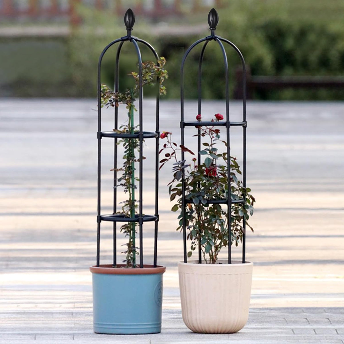 2 Pack 5Ft Tall Garden Obelisk Trellis for Climbing Plants Outdoor
