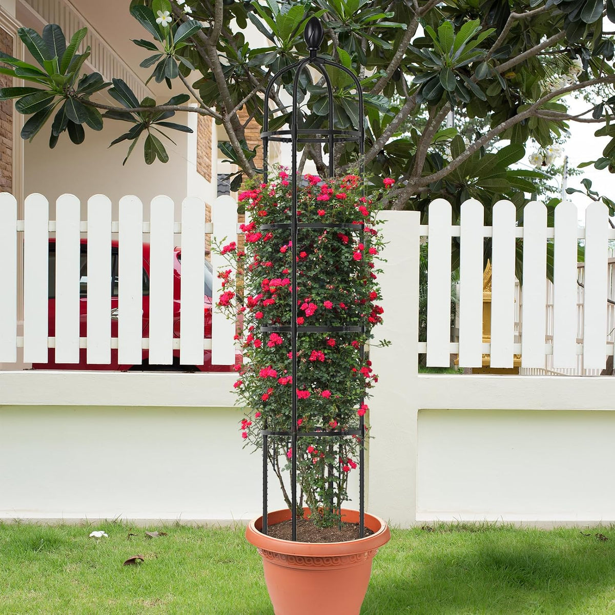 2 Pack 5Ft Tall Garden Obelisk Trellis for Climbing Plants Outdoor
