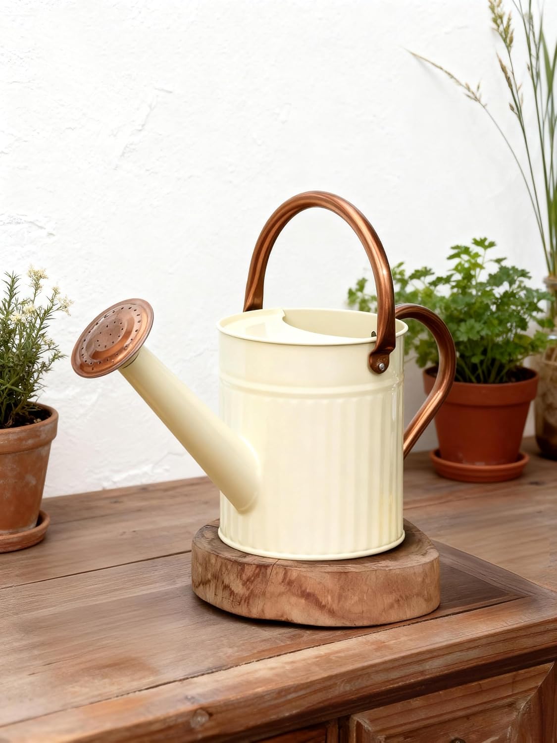 Metal Watering Can for Indoor Outdoor Plant 1/2 Gallon Creamy