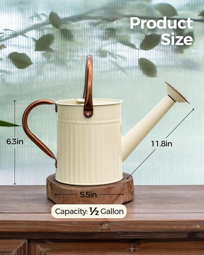 Metal Watering Can for Indoor Outdoor Plant 1/2 Gallon Creamy