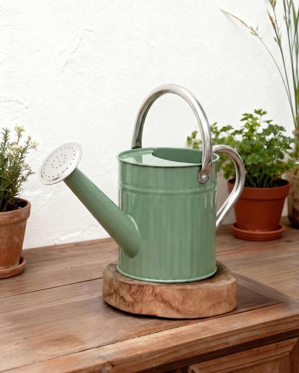 Metal Watering Can for Indoor Outdoor Plant 1/2 Gallon Creamy