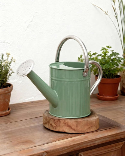 Metal Watering Can for Indoor Outdoor Plant 1/2 Gallon Creamy