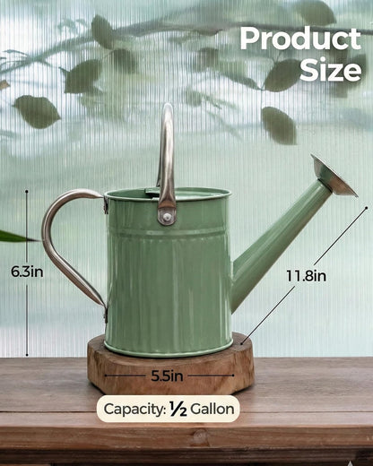 Metal Watering Can for Indoor Outdoor Plant 1/2 Gallon Creamy