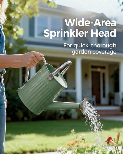 Metal Watering Can for Indoor Outdoor Plant 1/2 Gallon Creamy