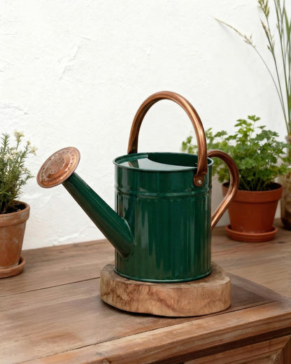 Metal Watering Can for Indoor Outdoor Plant 1/2 Gallon Creamy