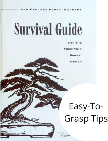 Starter Bonsai Tool Kit - Survival Guide + Set Includes: Butterfly Pruning Shears, Bottle Uncle Bill's Fertilizer, 2 Ounce Frit, Aluminum Wire, Genuine Chinese Mud Figurine - Bamboo Case