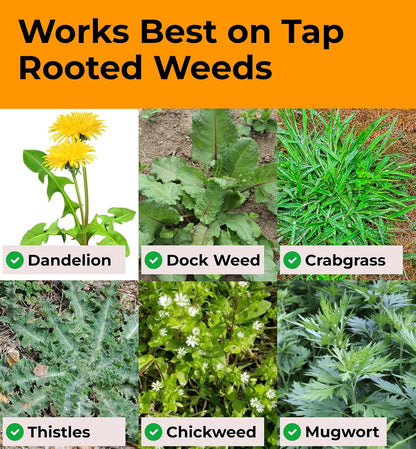 Craft911 Stand Up Weed Puller Tool with Long Handle - Dandelion Weeding Tool, No More Bending
