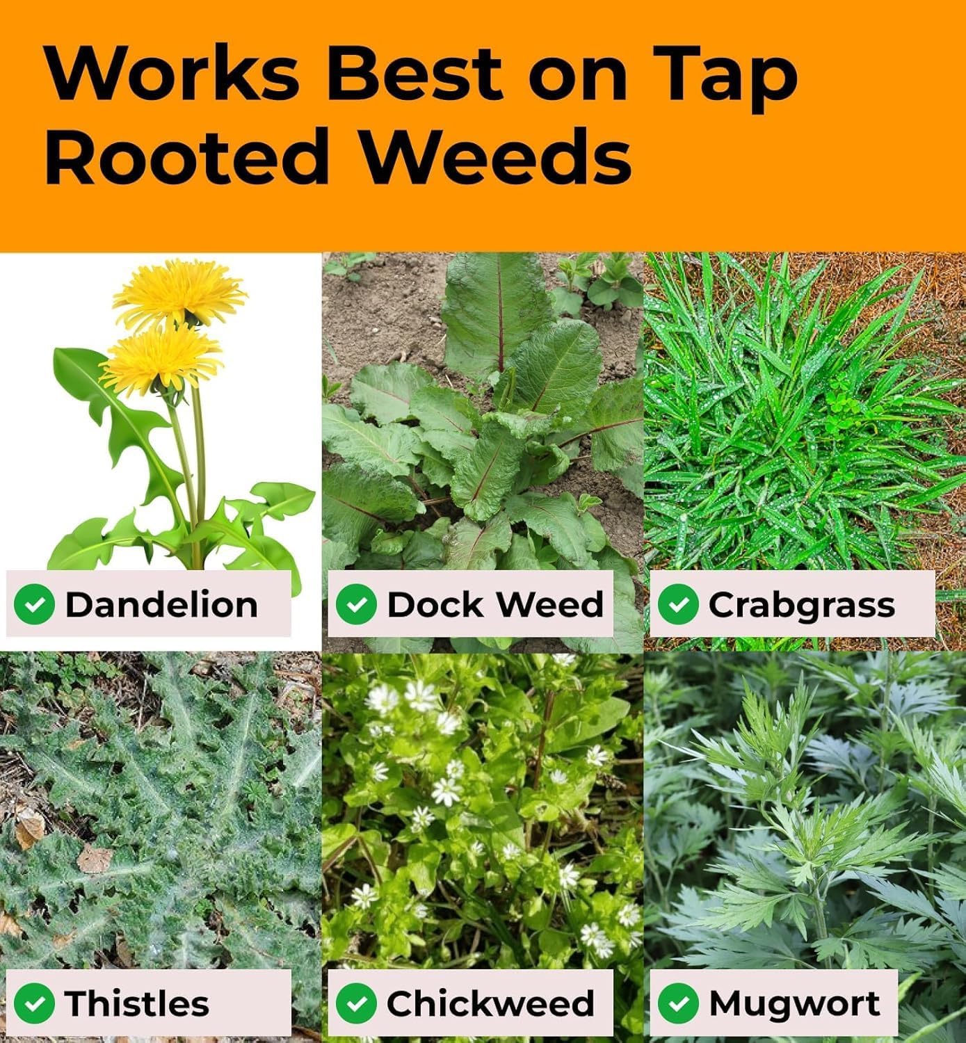 Craft911 Stand Up Weed Puller Tool with Long Handle - Dandelion Weeding Tool, No More Bending