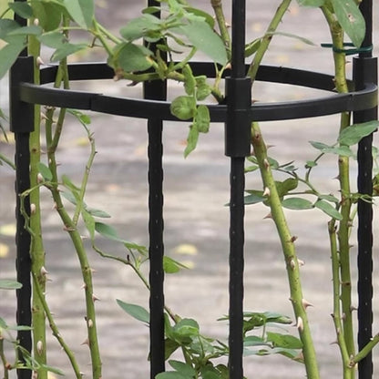 Garden Obelisk Trellis for Climbing Plants 2FT/3FT/4FT/5FT Rose Bush Round Trellis for Pots Rustproof Plastic & Metal Plant Flower Trellises for Clematis Vine Support Outdoor Indoor (3FT)