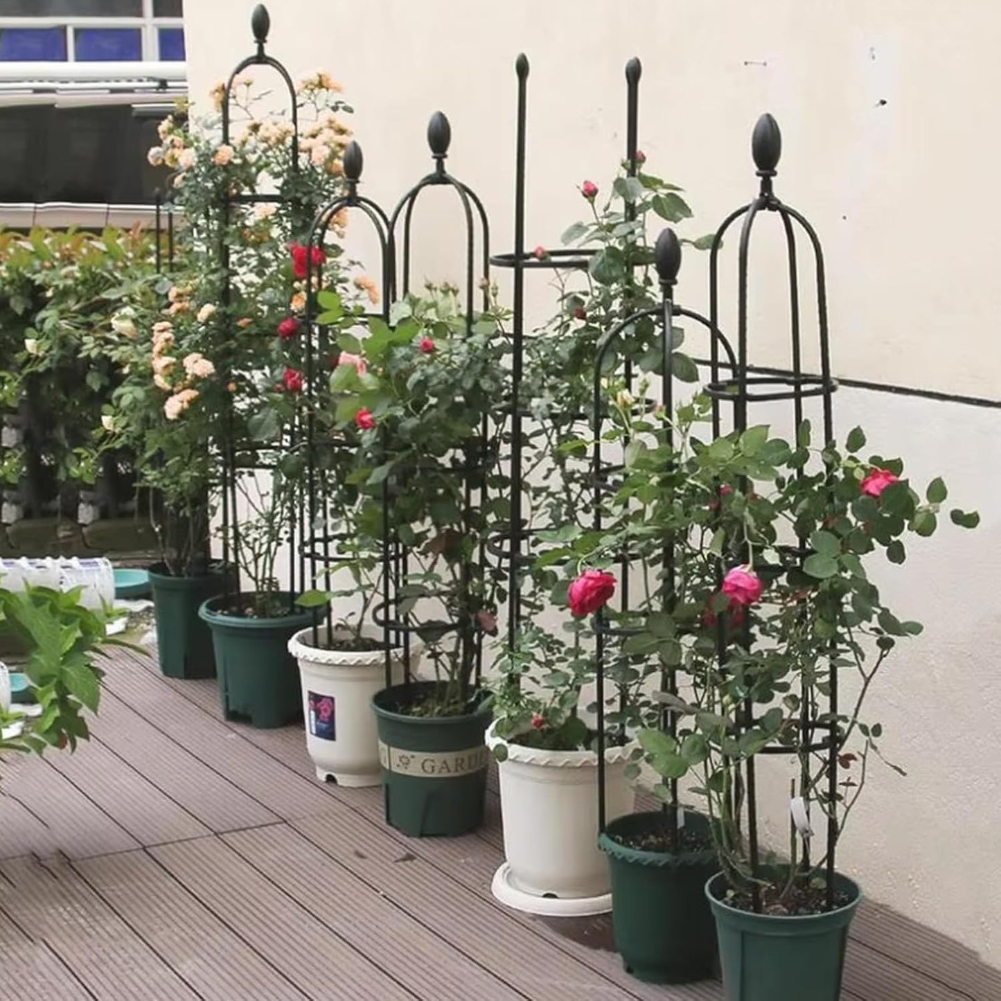 Garden Obelisk Trellis for Climbing Plants 2FT/3FT/4FT/5FT Rose Bush Round Trellis for Pots Rustproof Plastic & Metal Plant Flower Trellises for Clematis Vine Support Outdoor Indoor (3FT)
