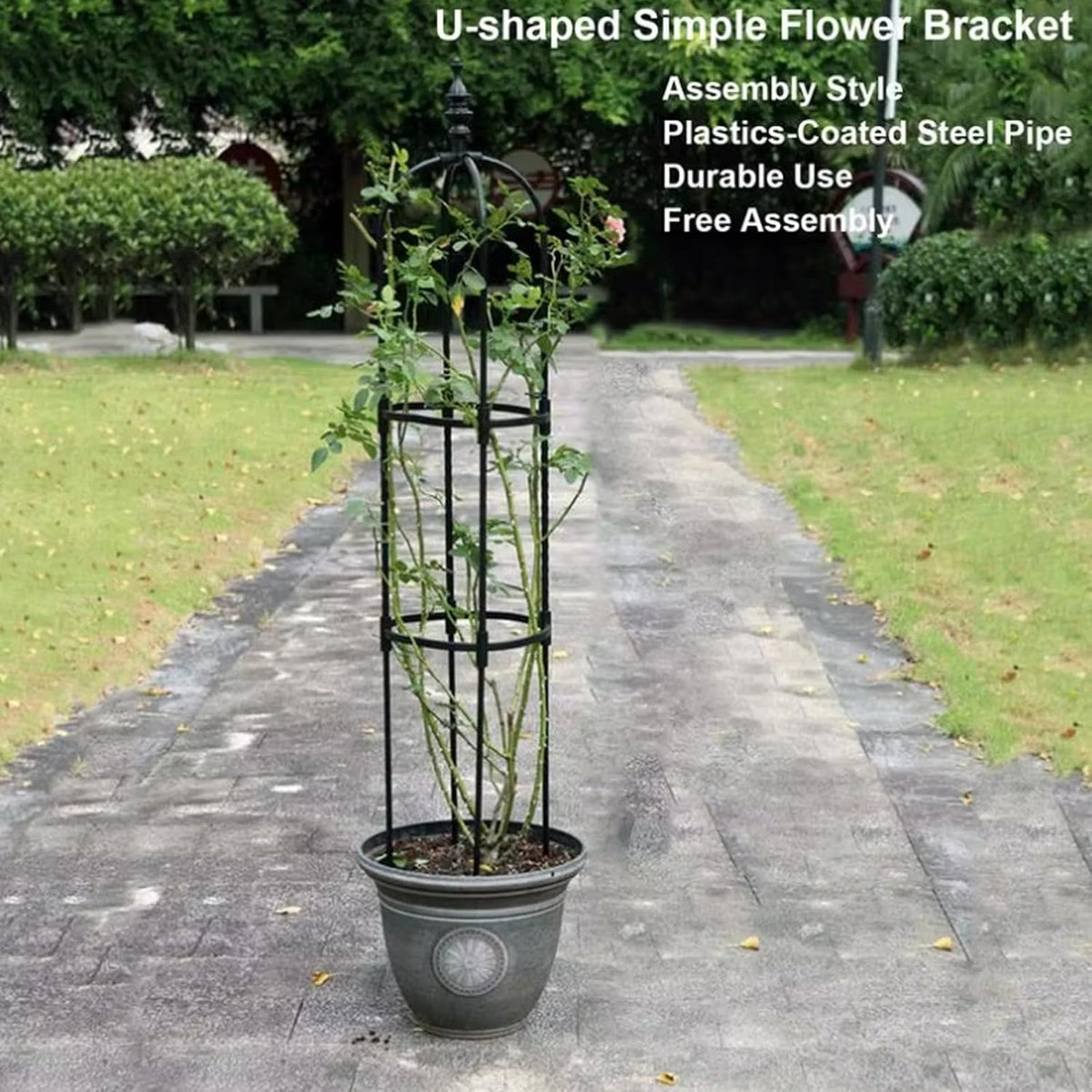 Garden Obelisk Trellis for Climbing Plants 2FT/3FT/4FT/5FT Rose Bush Round Trellis for Pots Rustproof Plastic & Metal Plant Flower Trellises for Clematis Vine Support Outdoor Indoor (3FT)