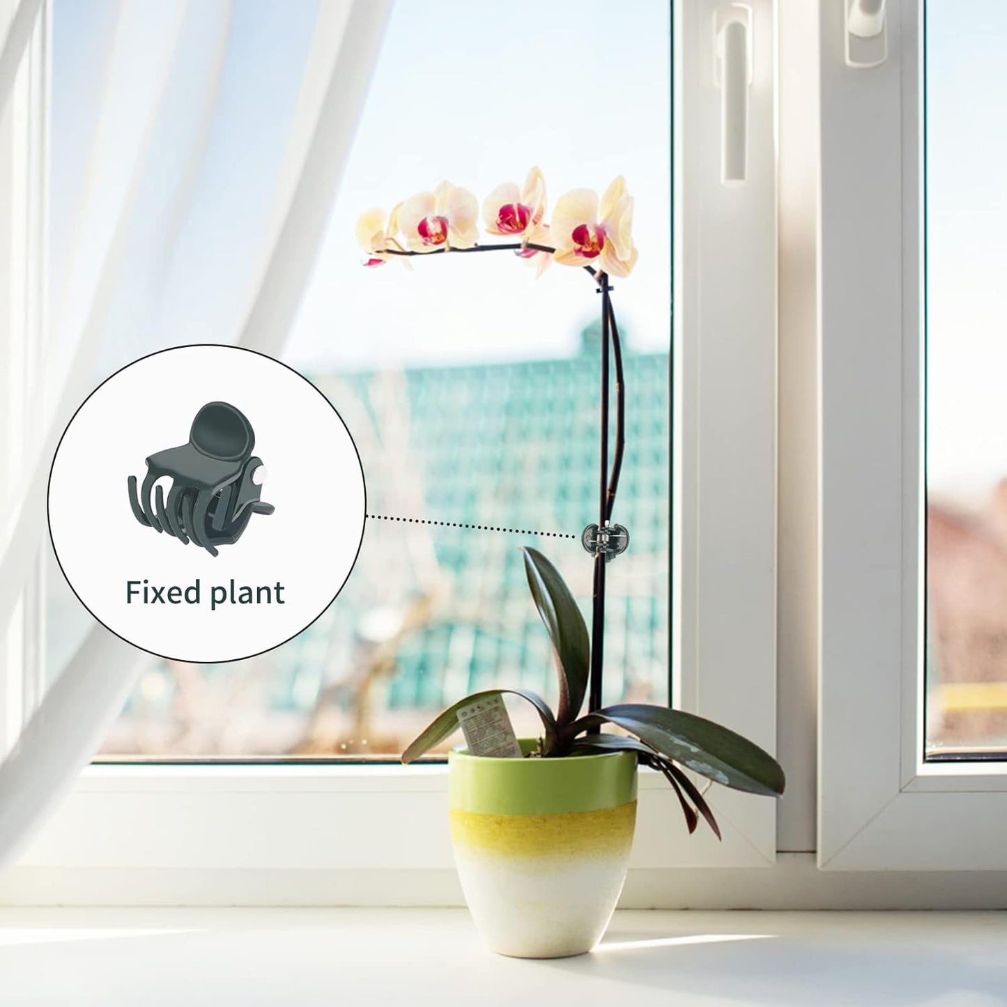 KINGLAKE GARDEN Plant Orchid Clips,100 Pcs Plant Clips Dark Green Plant Orchid Support Clips with Box,Garden Orchid Clips for Supporting Stems Vines Stalks Grow Upright