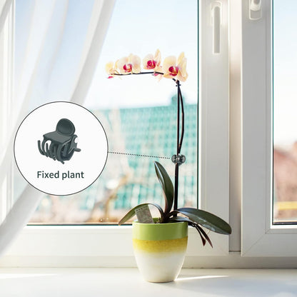 KINGLAKE GARDEN Plant Orchid Clips,100 Pcs Plant Clips Dark Green Plant Orchid Support Clips with Box,Garden Orchid Clips for Supporting Stems Vines Stalks Grow Upright