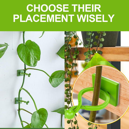 Plant Climbing Wall Fixture Clips, Plant Vine Wall Clips Wall Plant Support Hook, Invisible Plant Support Vine Clips, Plant Fixer Self-Adhesive Hook for Climbing Plants Indoor Outdoor (100, Green)