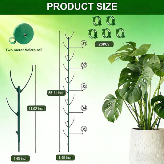 Stackable Plant Support Vine Plant Sticks Stakes Pothos Climber Support with Plant Clips and Plant Ties for Indoor Outdoor Vine Orchid, 5 Pack