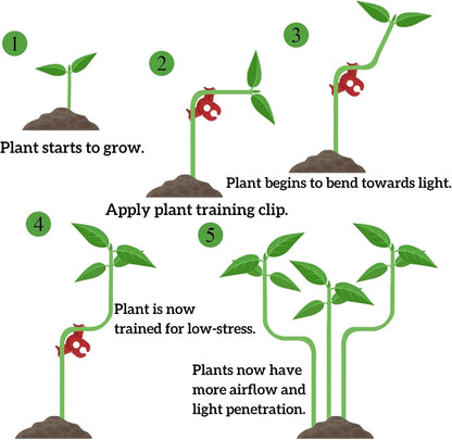 Goaste 100 Pack Plant Training Clips, 90 Degrees Plant Stem Bender, Low Stress Plant Branch Trainer Clips for Flowers, Vegetables, Plant Gardening (Circle Style,Red)