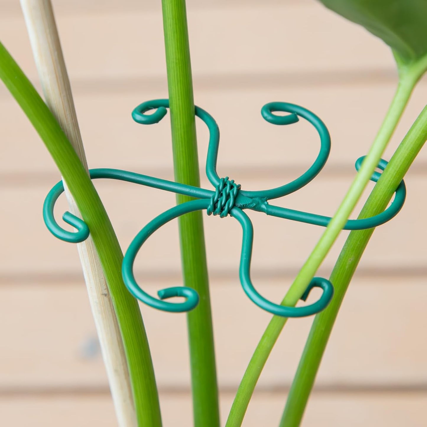 5PCS Monstera Plant Support Hook - 4.1 * 4.4IN Stem Holder