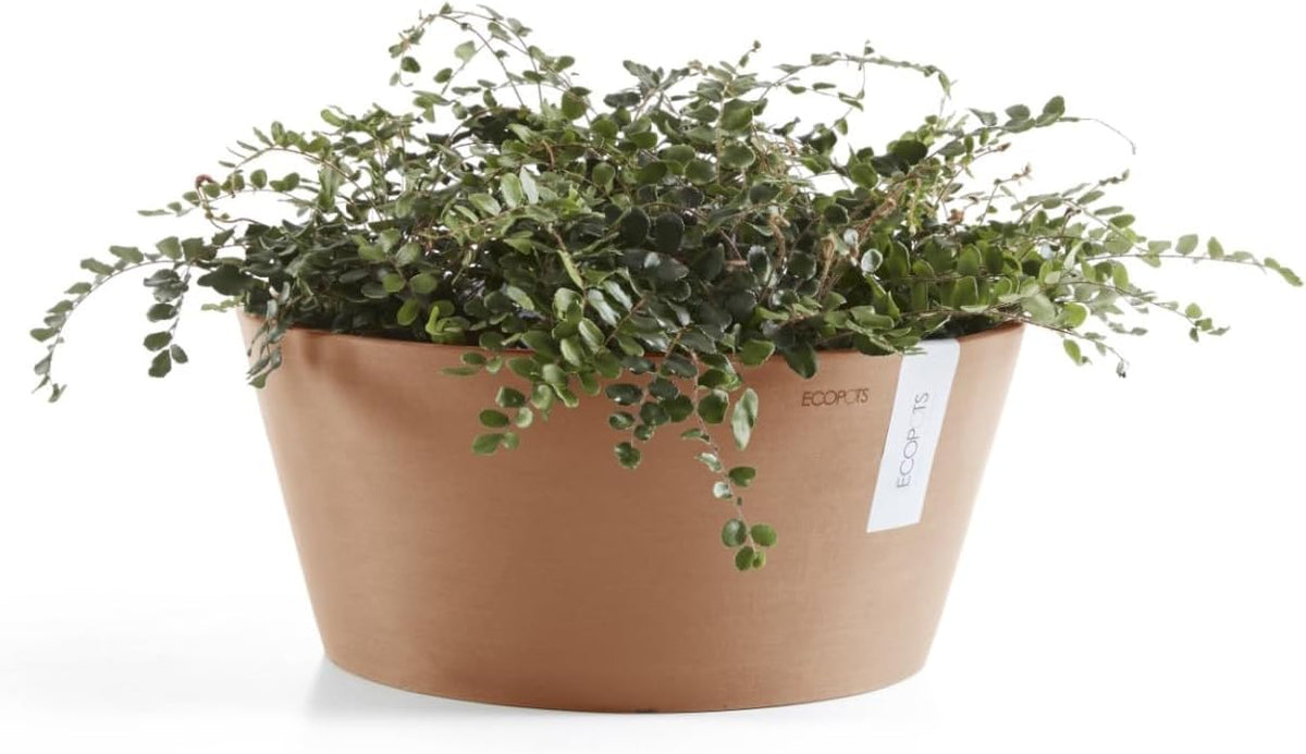 Ecopots Frankfurt Durable Modern Round Indoor/Outdoor Recycled-Based Composite Flower Pot Planter, Terracotta Color, 12"