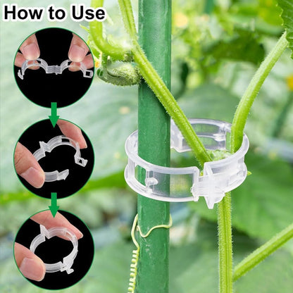 100PCS Plastic Plant Clips, 2026 New Reusable PlantSupport Clip, Plastic Trellis Clip PlantSupport Clips for Climbing Plants, Tomato Grape Vine (100pcs)