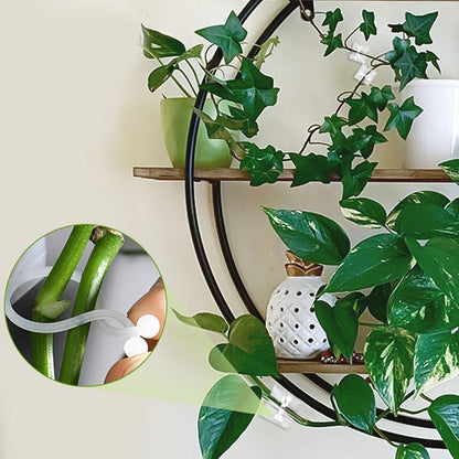 2026 New Self-Adhesive Vine Support Binding Clip Invisible Plant Fixation Hooks for Gardening,Plant Wall Clips for Climbing Plants, Wire Cable Storage Management (White, 100pcs)