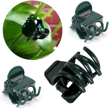 100 Pcs Plastic Plant Support Clips Trellis Clips Garden Clips Tomato Clips for Climbing Plants, Vegetables Plants Climbing Plants Grape Vine to Grow Upright and Healthier