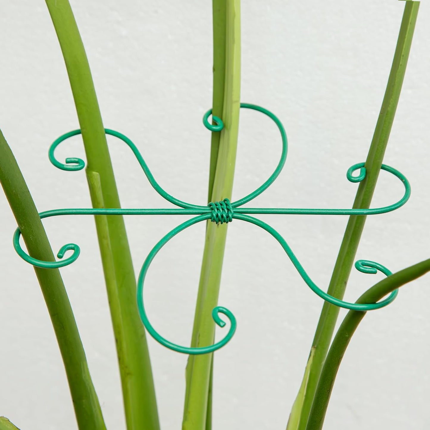 5PCS Monstera Plant Support Hook - 4.1 * 4.4IN Stem Holder
