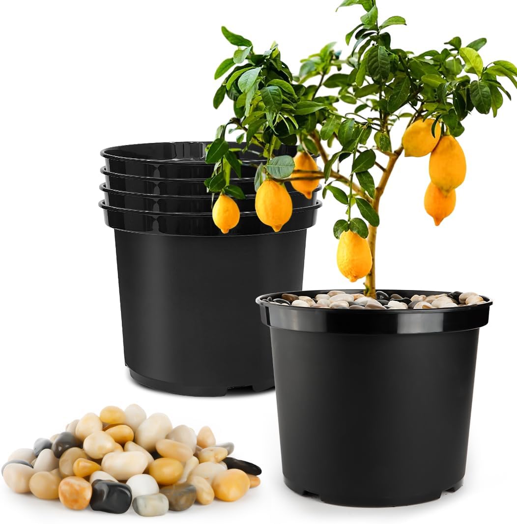 5 Gallon Nursery Pots (10-Pack) + 50ft Garden Hose with Spray Nozzle + 3-in-1 Soil Tester for Moisture/Light/pH | All-in-One Gardening Kit for Indoor/Outdoor Plants, Gardening Gifts for Women