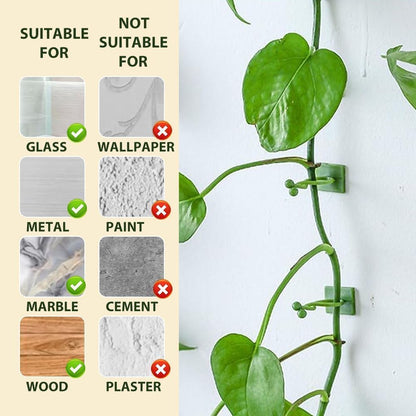 2026 New Self-Adhesive Vine Support Binding Clip Invisible Plant Fixation Hooks for Gardening,Plant Wall Clips for Climbing Plants, Wire Cable Storage Management (White, 100pcs)