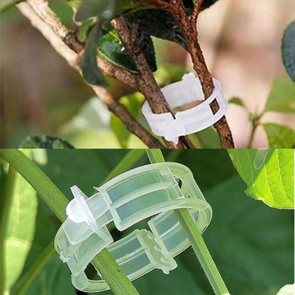 100PCS Plastic Plant Clips, 2026 New Reusable PlantSupport Clip, Plastic Trellis Clip PlantSupport Clips for Climbing Plants, Tomato Grape Vine (100pcs)