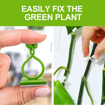 Plant Climbing Wall Fixture Clips, Plant Vine Wall Clips Wall Plant Support Hook, Invisible Plant Support Vine Clips, Plant Fixer Self-Adhesive Hook for Climbing Plants Indoor Outdoor (100, Green)