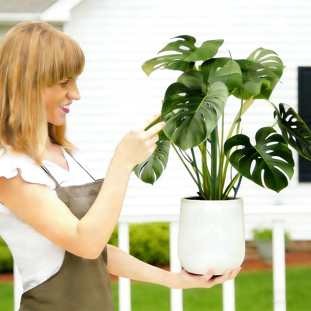 Stackable Plant Support Vine Plant Sticks Stakes Pothos Climber Support with Plant Clips and Plant Ties for Indoor Outdoor Vine Orchid, 5 Pack