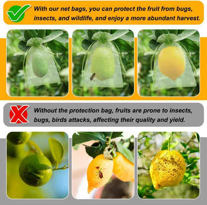 Shintop 100Pcs Fruit Protection Bags, 4x6 Inch Green Strawberry Netting Cover Drawstring Mesh Bags Pest Barrier for Blueberry Small Fruit