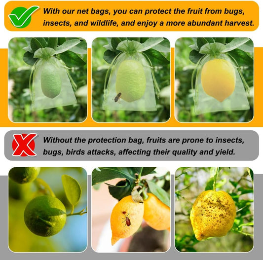 Shintop 100Pcs Fruit Protection Bags, 4x6 Inch Green Strawberry Netting Cover Drawstring Mesh Bags Pest Barrier for Blueberry Small Fruit