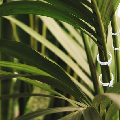 Plant Support Clips Reusable Garden Clips, Secured Plastic Plant Clips, Tomato Support Clips for String Trellis for Climbing Plants Outdoor Indoor Plant Flowers Stem Vine Fixing Clips (50, Green)