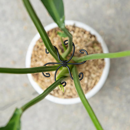 5PCS Monstera Plant Support Hook - 4.1 * 4.4IN Stem Holder