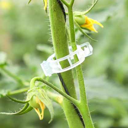 100PCS Plastic Plant Clips, 2026 New Reusable PlantSupport Clip, Plastic Trellis Clip PlantSupport Clips for Climbing Plants, Tomato Grape Vine (100pcs)