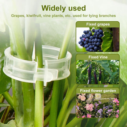Plant Support Clips Reusable Garden Clips, Secured Plastic Plant Clips, Tomato Support Clips for String Trellis for Climbing Plants Outdoor Indoor Plant Flowers Stem Vine Fixing Clips (50, Green)
