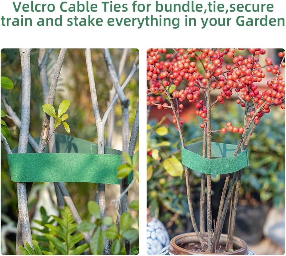 Plant Clips Plant Ties Set, 50 FT Reusable Plant Ties and 100 PCS Support Clips for Securing Climbing Plants Tomato Vibes Orchid Flower Stems, Garden Plant Support Cables for Indoor Outdoor Plants