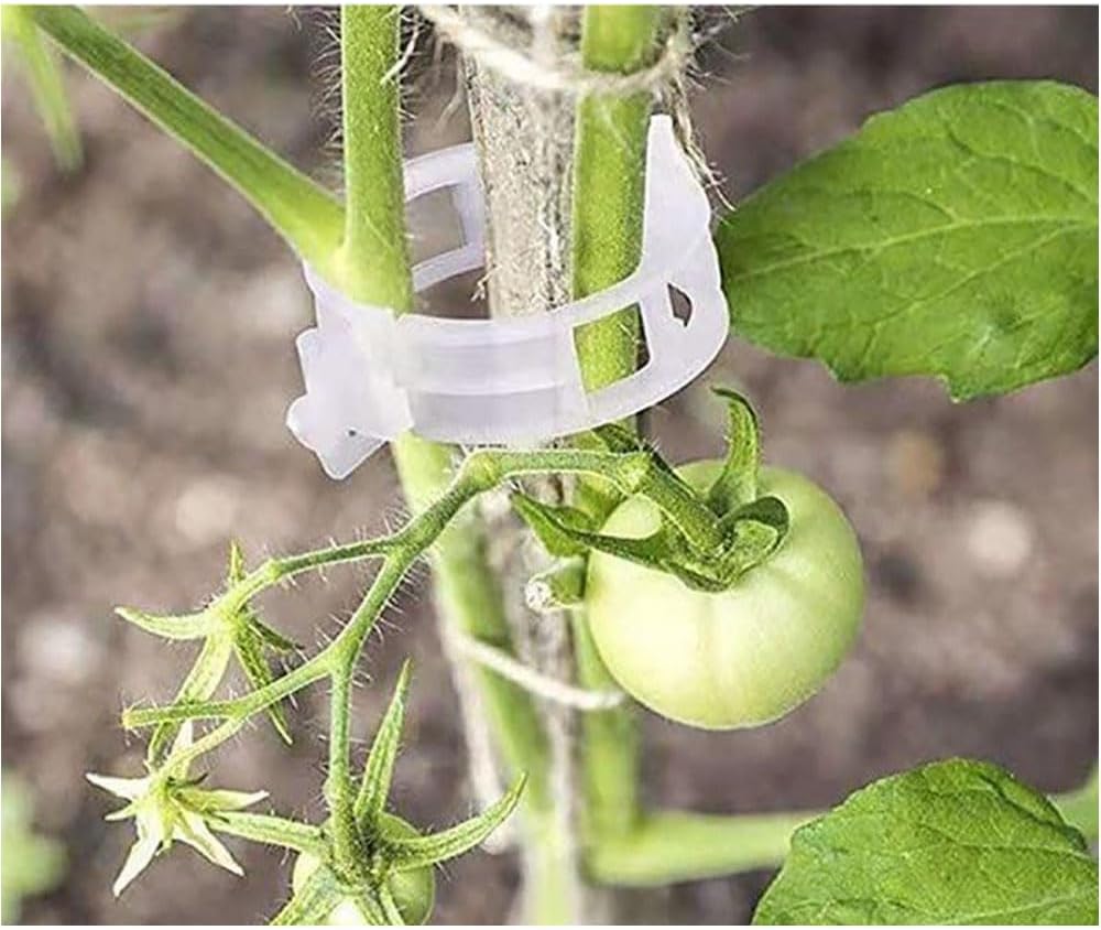 100PCS Plastic Plant Clips, 2026 New Reusable PlantSupport Clip, Plastic Trellis Clip PlantSupport Clips for Climbing Plants, Tomato Grape Vine (100pcs)