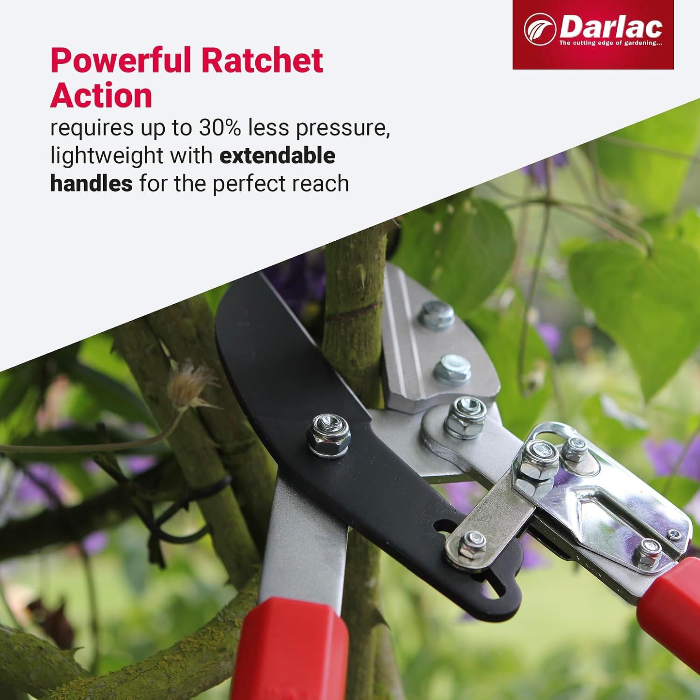 Lightweight Ratchet Garden Loppers