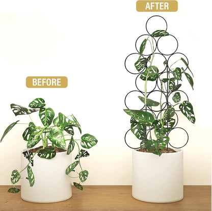 Trellis for Climbing Plants Indoor,4 Pack Stackable Garden Trellis for Potted Plant Support, 15.7 Inch Small Houseplant Metal Wire Trellis for Vine Ivy Rose Plant Trellis (Black)