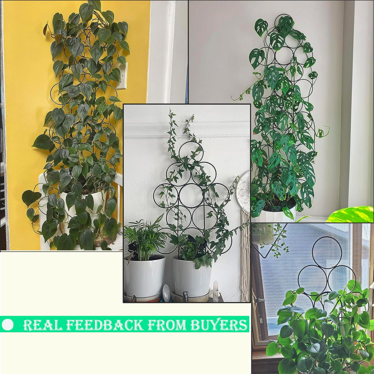 Trellis for Climbing Plants Indoor,4 Pack Stackable Garden Trellis for Potted Plant Support, 15.7 Inch Small Houseplant Metal Wire Trellis for Vine Ivy Rose Plant Trellis (Black)