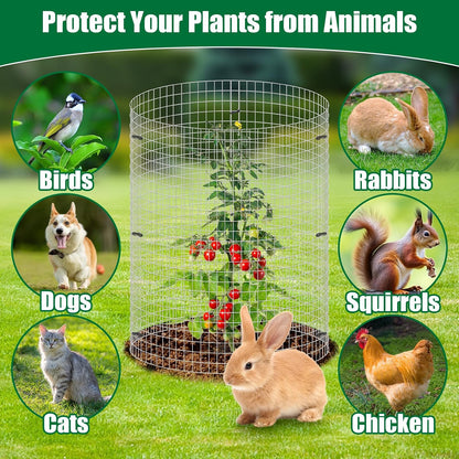 30Pcs Garden Plant Protector Cage 12''x12'', 10 Set Metal Wire Protectors