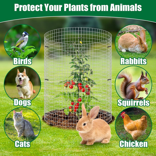 30Pcs Garden Plant Protector Cage 12''x12'', 10 Set Metal Wire Protectors