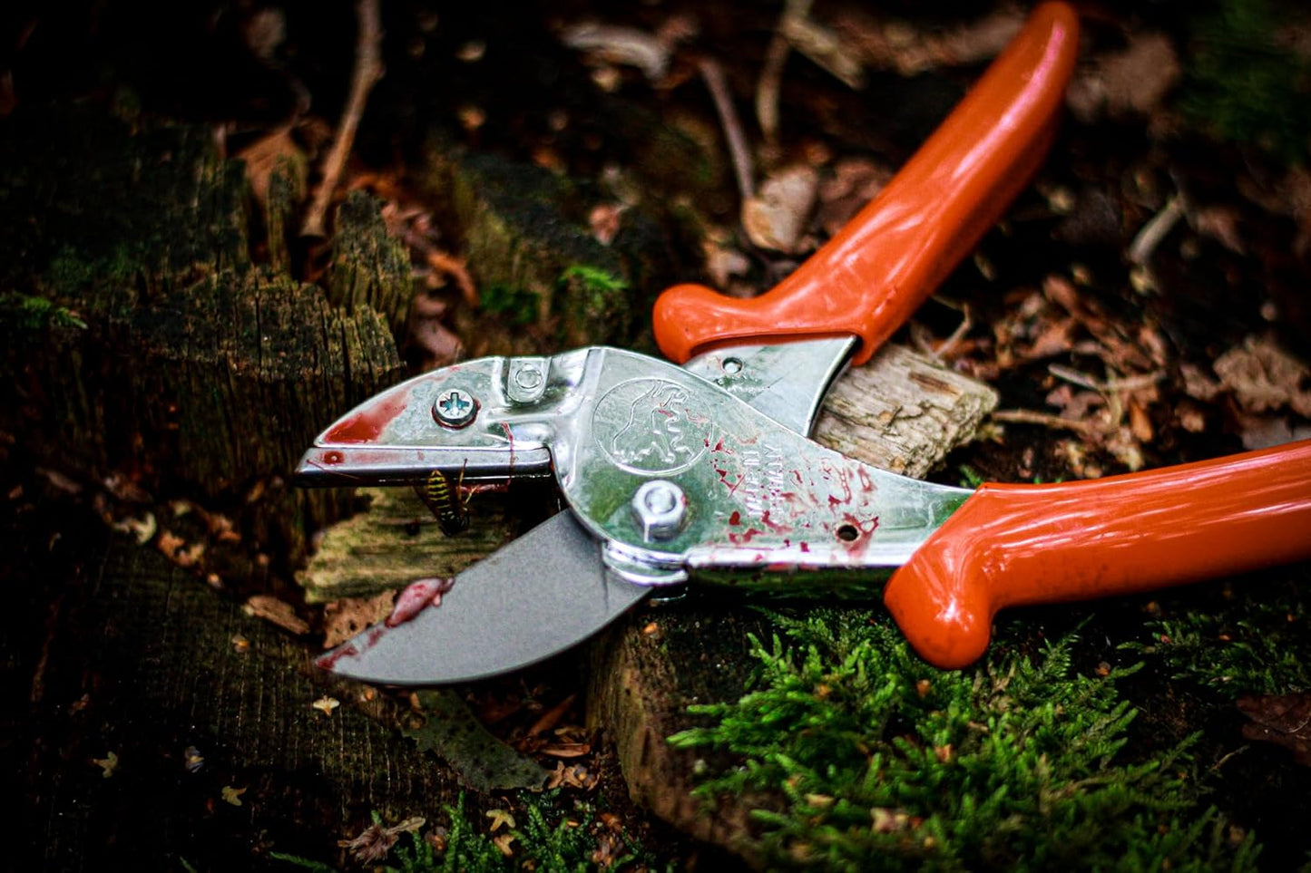 Professional Hunting Shears 1.117 | Robust Anvil Scissors as Alternative for Hunting Knives | Use For Game & Meat Processing, Bone Cutting & Pruning | Carbon Steel | Made in Germany