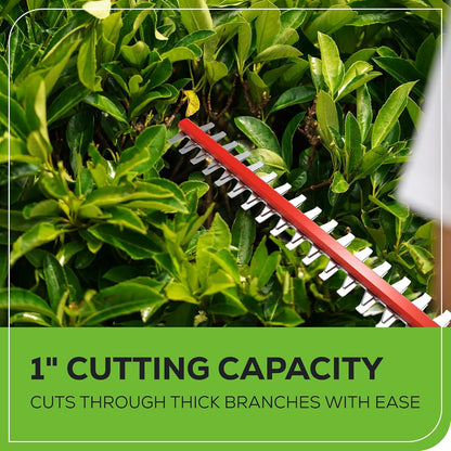 40V 20" Cordless Pole Hedge Trimmer, 2.0Ah Battery and Charger Included