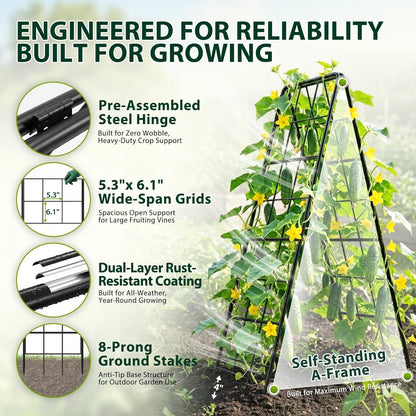 2 Pack 50" Tall A Frame Trellis for Climbing Plants Outdoor (50" X 17") – Heavy Duty Garden Adjustable Trellis, Metal Trellis for Cucumbers, Beans, Tomatoes, Grapes, and Vining Vegetables