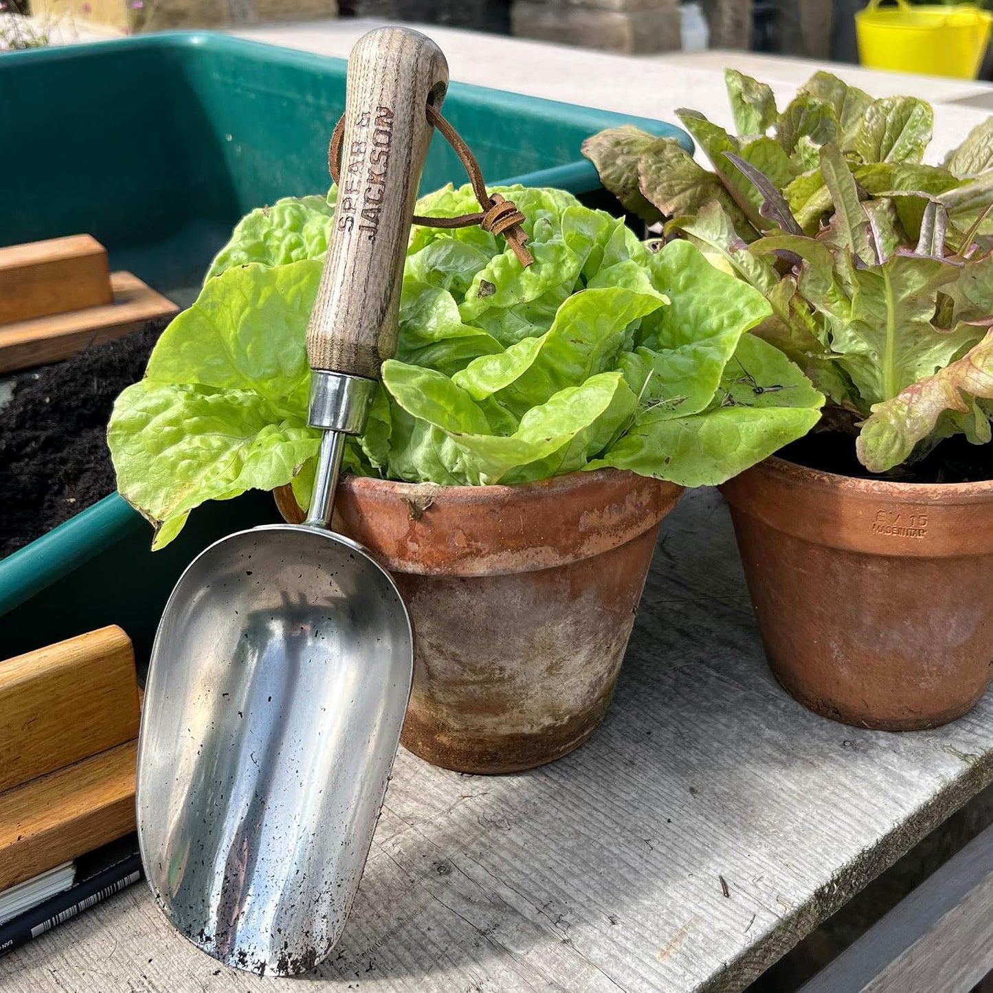 5060SS Traditional Stainless Soil Scoop, 32.5 x 9 x 5 cm, Blue