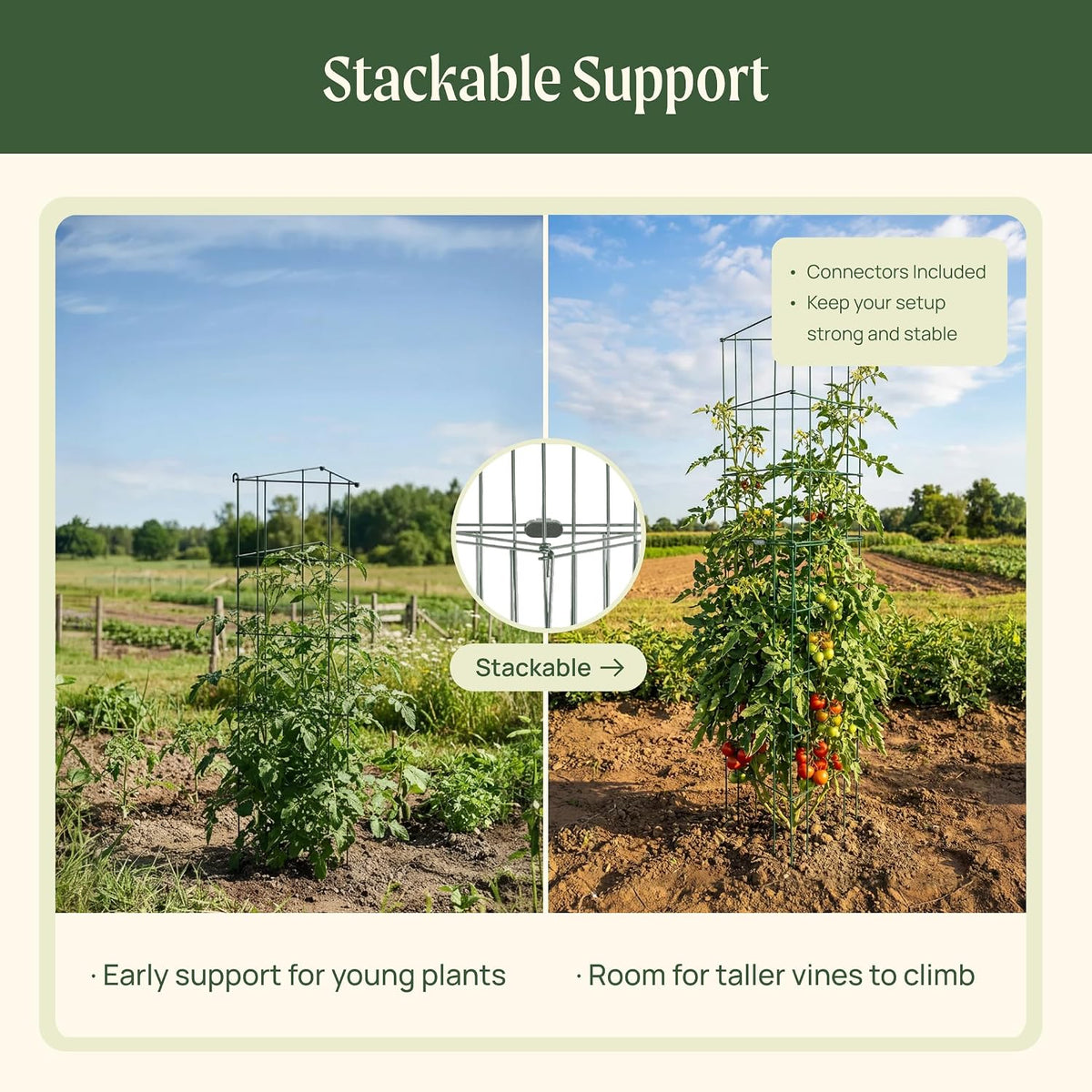 Vego 3-Panel Tomato Cage for Garden & Pots, Rust-Resistant Tomato Stakes Plant Cage Trellis Support for Climbing Vegetables Plants- 11.5" Triangle 4 Pack